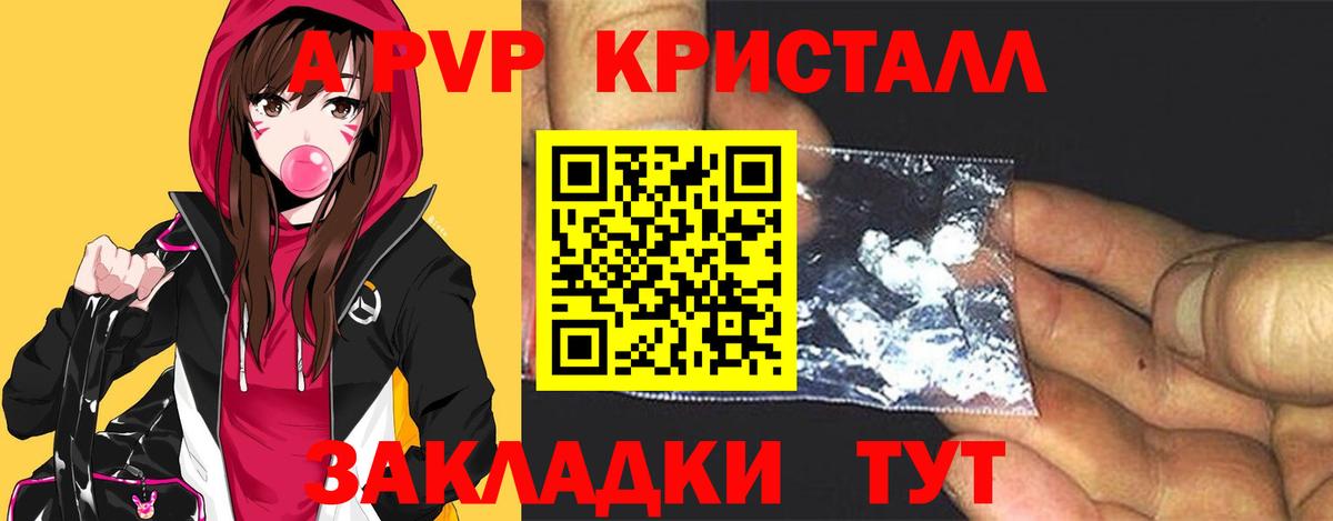 A PVP СК Выкса