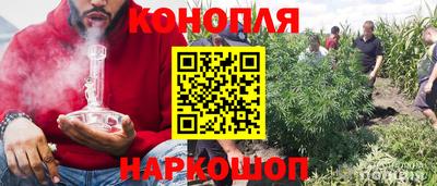 гидропоника Аша