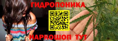стаф Ачхой-Мартан