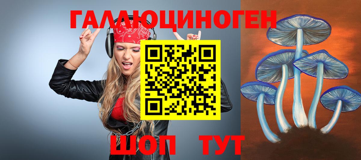Галлюциногенные грибы MAGIC MUSHROOMS  Псилоцибиновые грибы Psilocybine cubensis  Выкса  Вход с VPN 